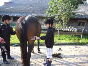 reiten